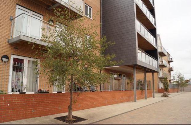 Vetrelax Chelmsford Apartment Bagian luar foto