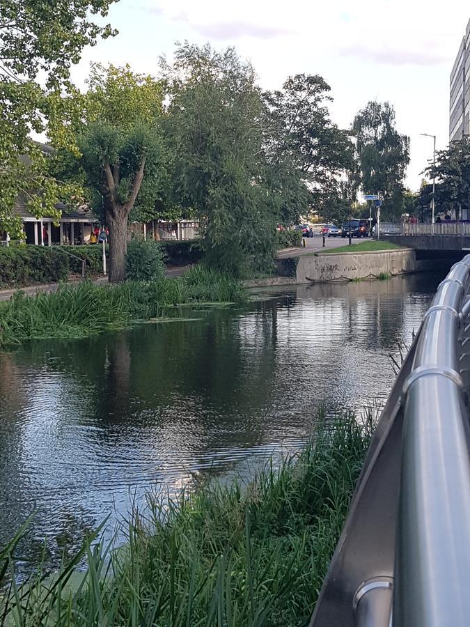 Vetrelax Chelmsford Apartment Bagian luar foto