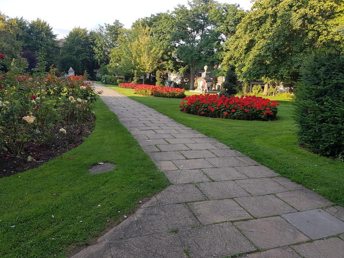 Vetrelax Chelmsford Apartment Bagian luar foto